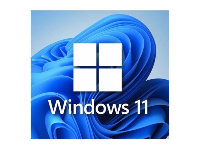 Microsoft Windows 11 Pro 64-Bit